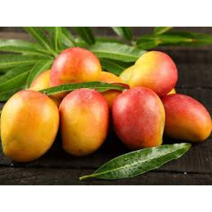 Mango - Sindhooram / മാങ്ങ - 500gm